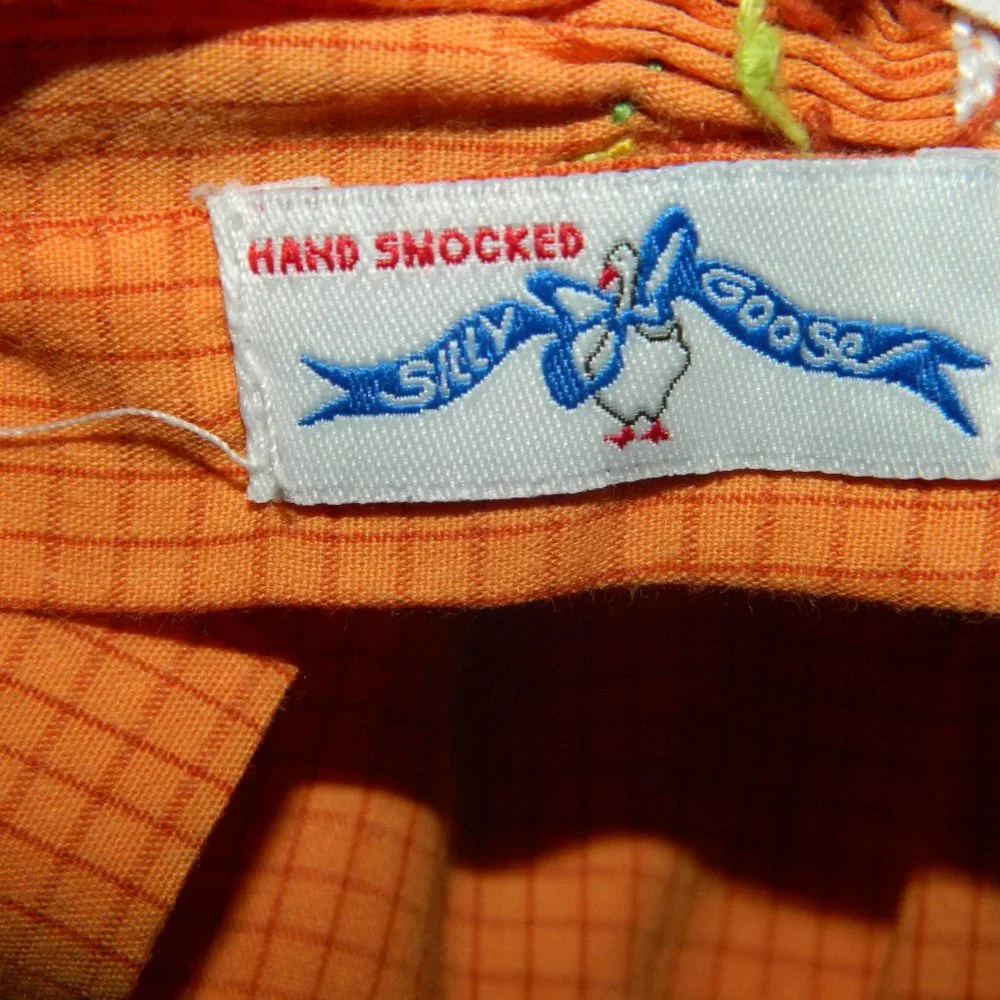 Silly Goose Hand Smocked Fall 2 pc Outfit Size 9M (H-42)